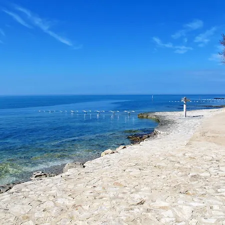Fuer 2 Personen 30 M2 In Novigrad- Istrien By Interhome Lejlighed Novigrad Istria